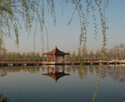 黑山明天天气