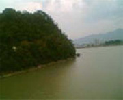 桐庐明天天气