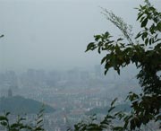 上虞今天天气