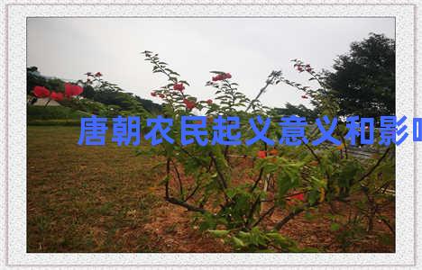 唐朝农民起义意义和影响